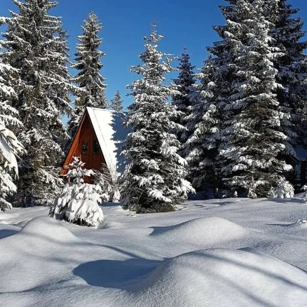 ZlatAir Eco Chalet, hotel en Nova Varoš