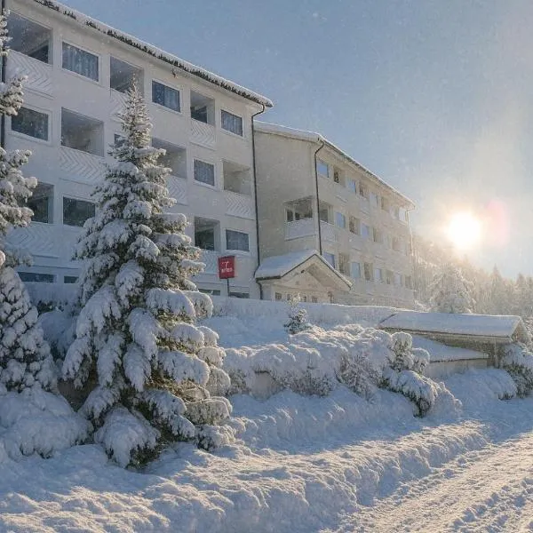 Grifone Dolomiti Resort, отель в Араббе