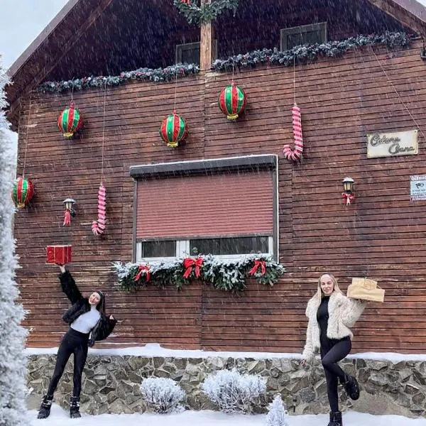 Cabana Oana 5-bedrooms chalet, hotel v destinaci Arad