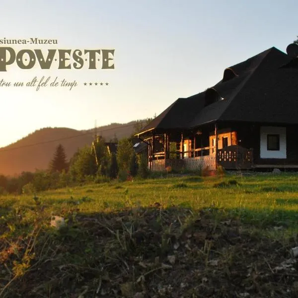 Casa Poveste Pensiunea-Muzeu, Hotel in Câmpulung Moldovenesc
