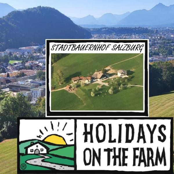 Stadtbauernhof Salzburg - Ferienwohnung - Gut Unterleithen - farm & the city, Salzbourg