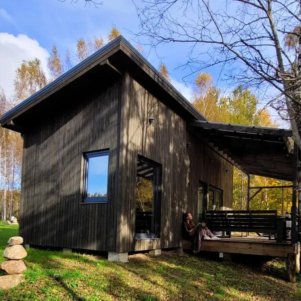 Holiday cabin 'OAK', Hotel in Salacgrīva