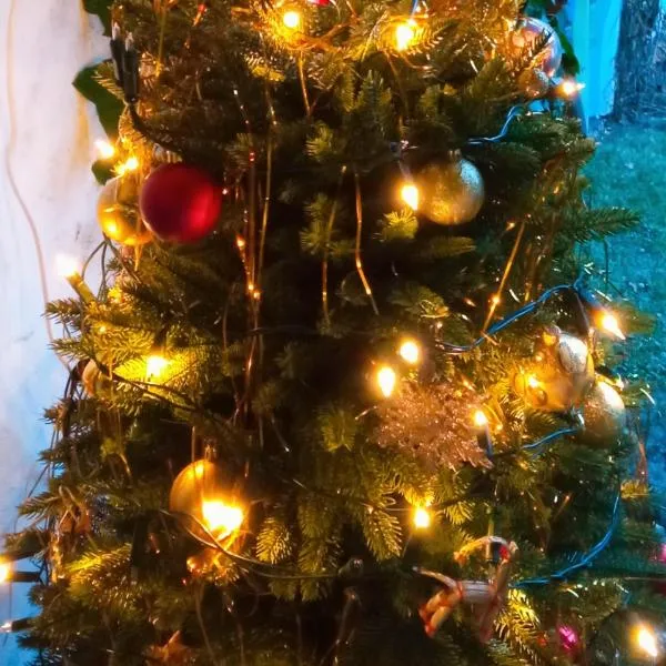 Pension Fanlor, hotel v mestu Zubčická Lhotka