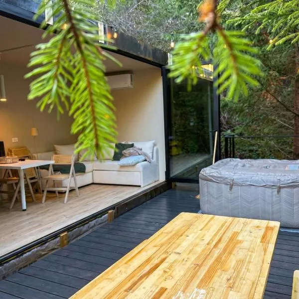 Coniferis, hotel v destinaci Tomnatic