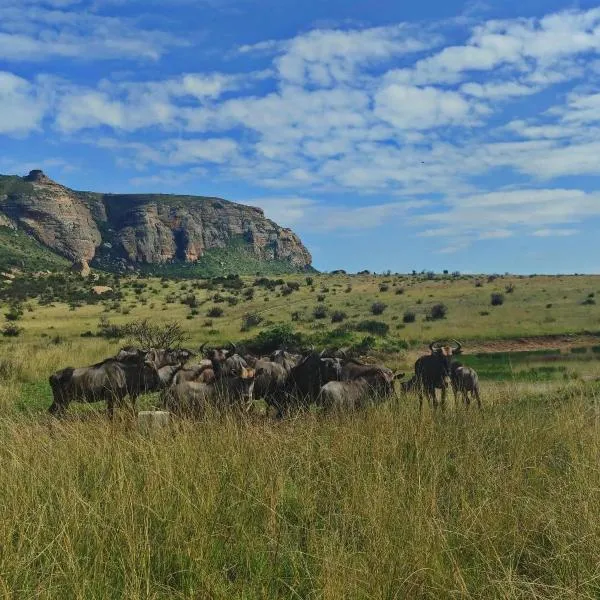 Mount Everest Guest Farm, hotel en Harrismith