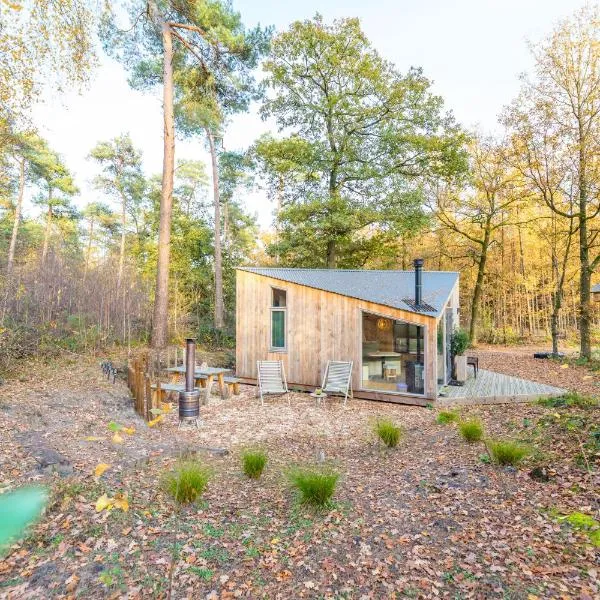 Tiny House Twente,德魯特的飯店