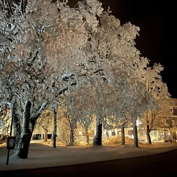 Hotel Altastenberg, hotel em Winterberg