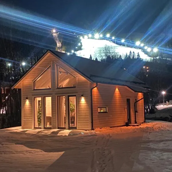 The New Lodge Ski In Ski Out: Duved şehrinde bir otel