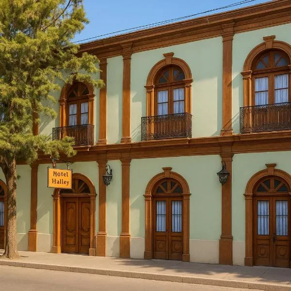 Hotel Halley, Encanto Colonial en el Centro de Vicuña, Hotel in Vicuña