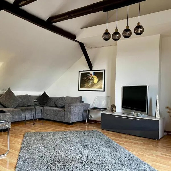 Terrassenwohnung am Weißen Ross, Hotel in Braunschweig