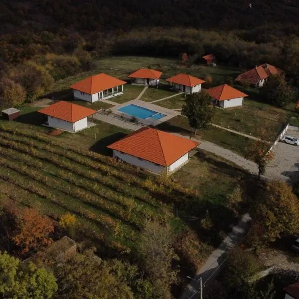 Vinogradi Zmajevački,位于姆拉代诺瓦茨的酒店
