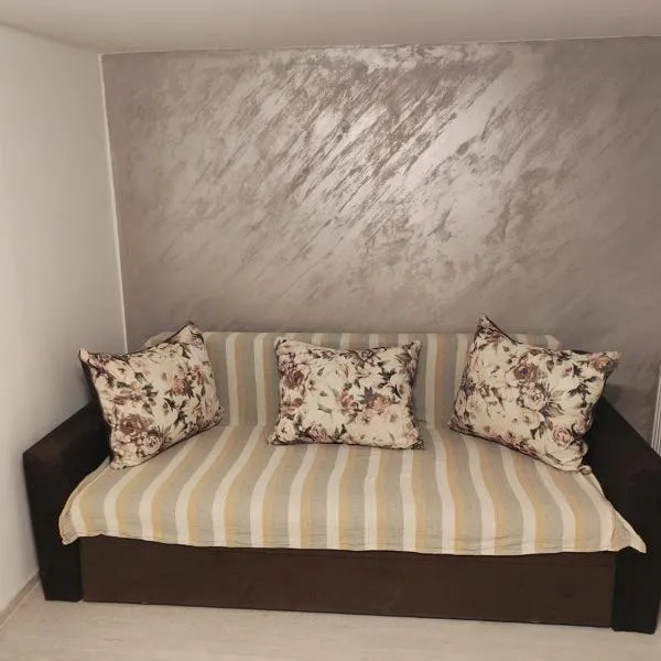 Garsoniera 20m2 anexată la casa proprietarului, hotel in Botoşani