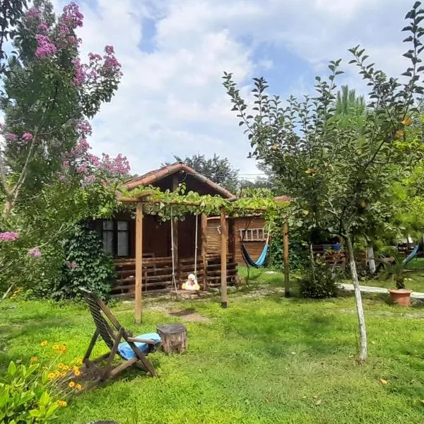 Tiny houses Genacvale, hotel v destinaci Martvili