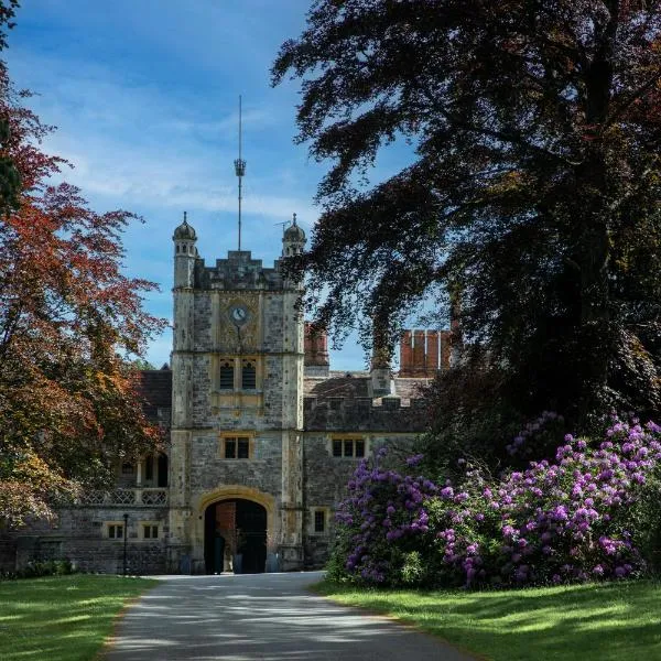 Rhinefield House Hotel, hotel v destinaci Brockenhurst