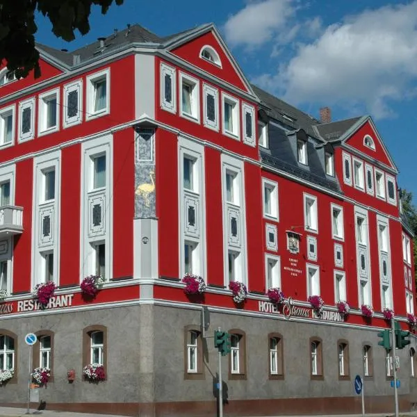 Hotel Strauss, hotel v Hofu
