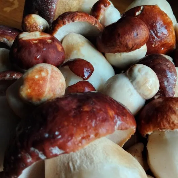 Ethno village & resort Ćorić, hotel in Mojkovac