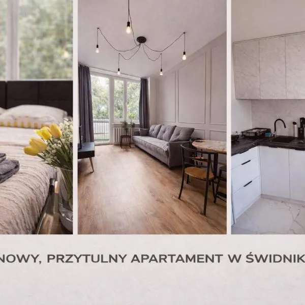 Black or White Świdnik Apartment's, Hotel in Świdnik