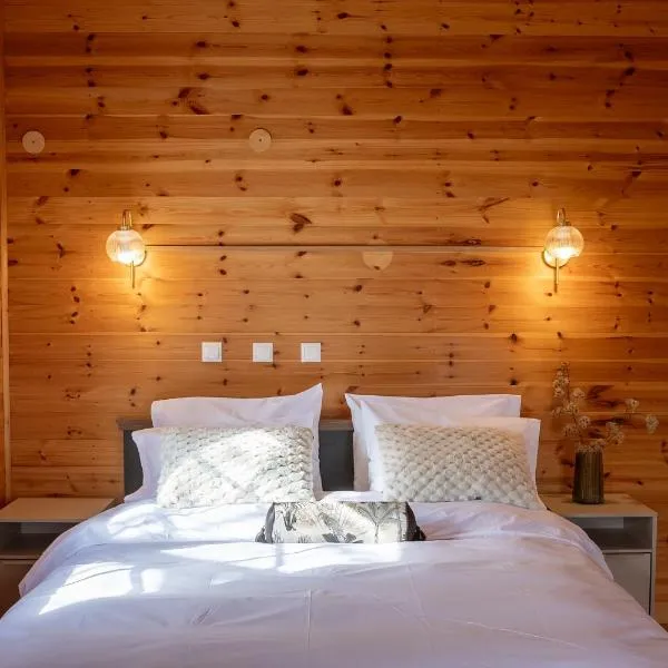 karion houses, hotel in Synikia Mesi Trikalon