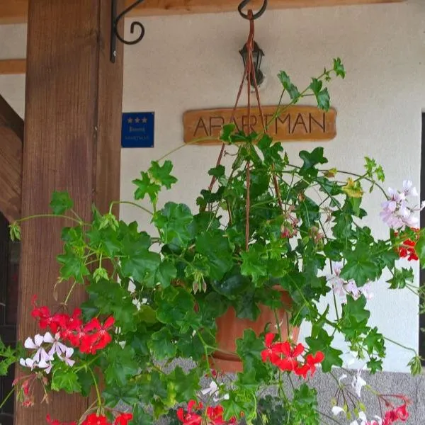 Apartman Thea Gomirje、Gomirjeのホテル