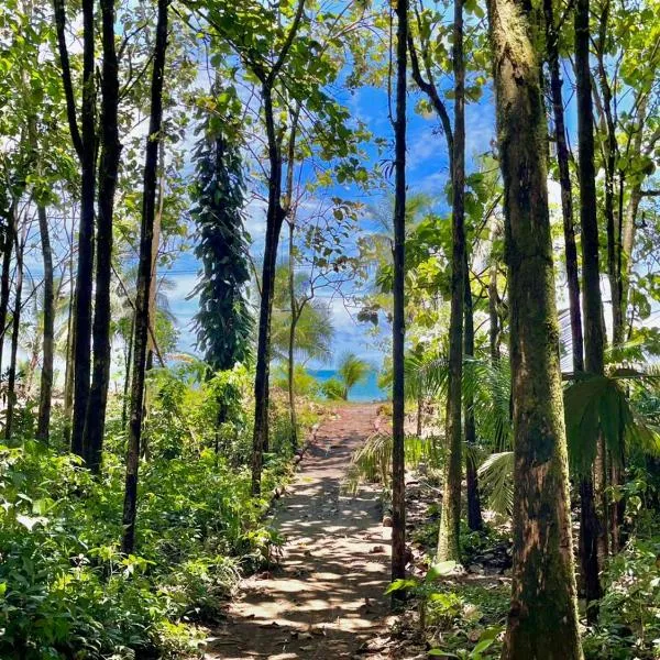 Casa Caimito,位于努基的酒店