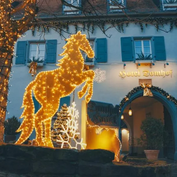 Hotel Domhof, Hotel in Speyer