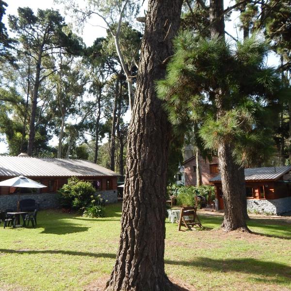 Cabañas Altos del Bosque