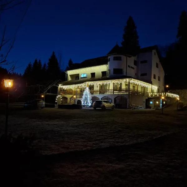 Vila Apuseni, хотел в Ариешени