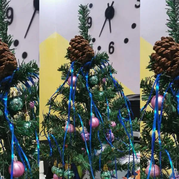 Harmony Backpackers Hostel, hotel v destinaci Batumi