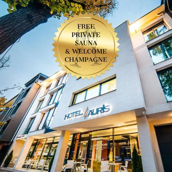 Hotel Auris, hotel v destinaci Szeged
