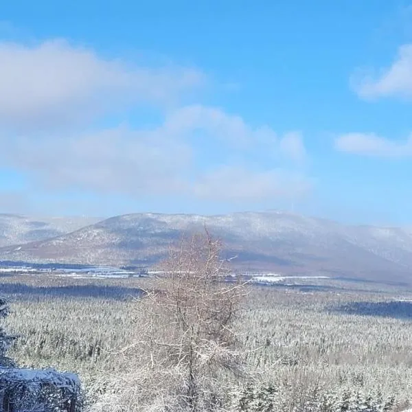 Gîte champêtre Chesham，位于Notre-Dame-Des-Bois的酒店