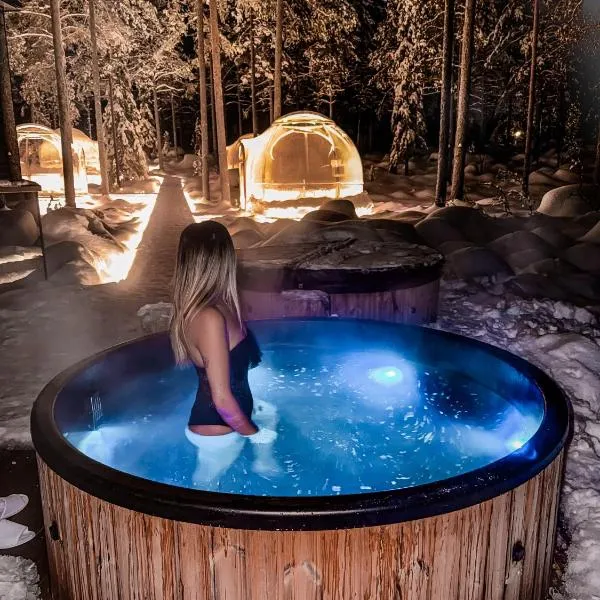 Adults Only Invisible Forest Lodge & SPA, hotel v destinaci Rovaniemi