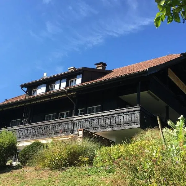 Landhausvilla Strittberg 7, ξενοδοχείο σε Höchenschwand