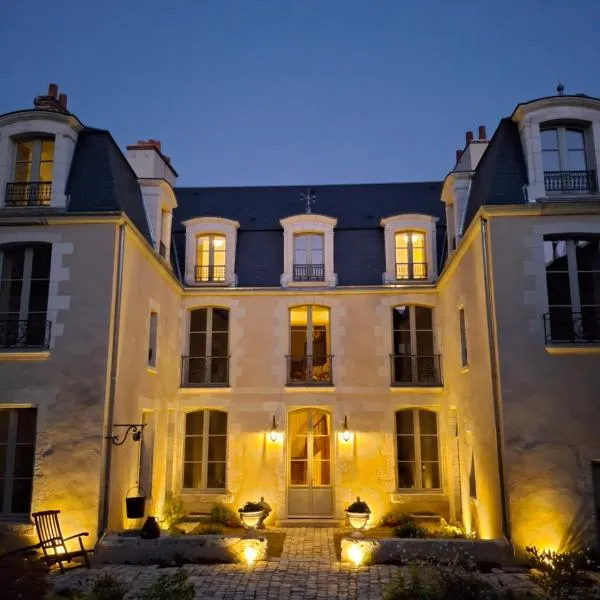 Hôtel Savare, hotel Blois-ban
