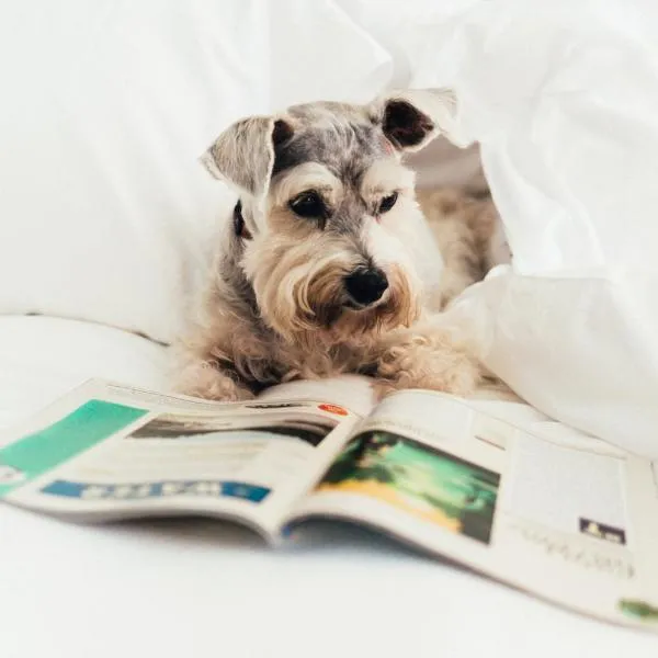 Loews Atlanta Hotel, hotel in Atlanta