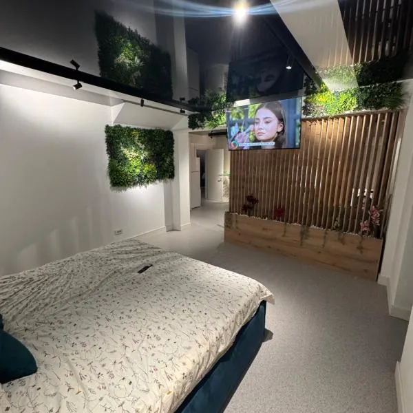 LVO Apartments，位于Bîrlad的酒店