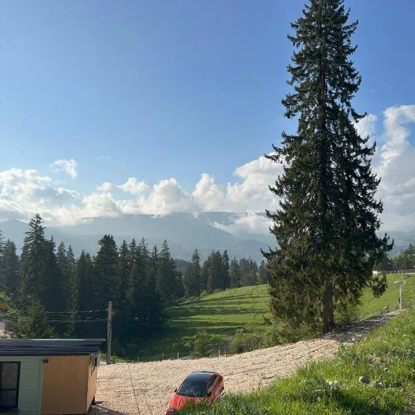 Virajlux, hotel in Dâmbovicioara