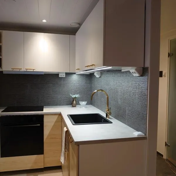 Holidayhome TahkonTintinlenkki, hotel en Tahkovuori