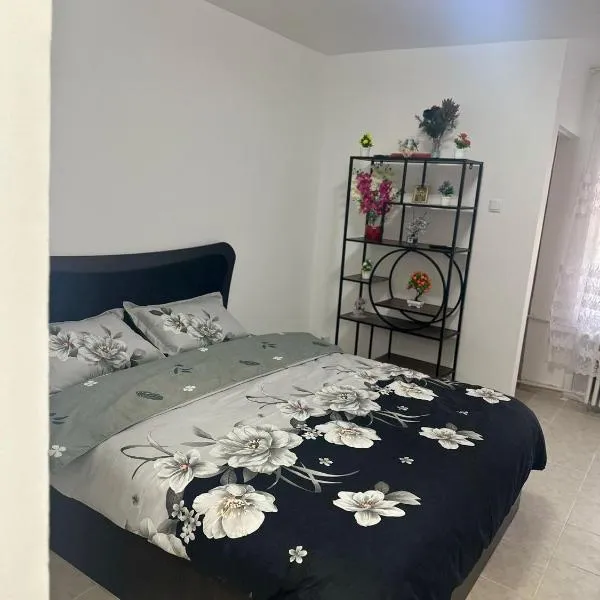 Studio Relax2, hotel em Bacau