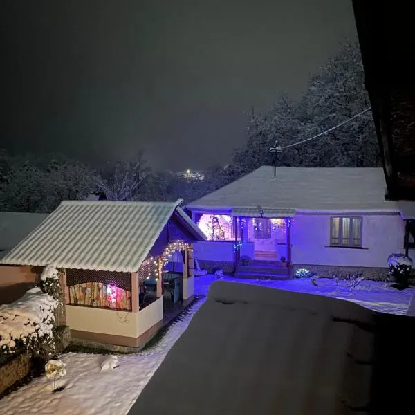 Casa Putna, hotel v destinaci Vidra