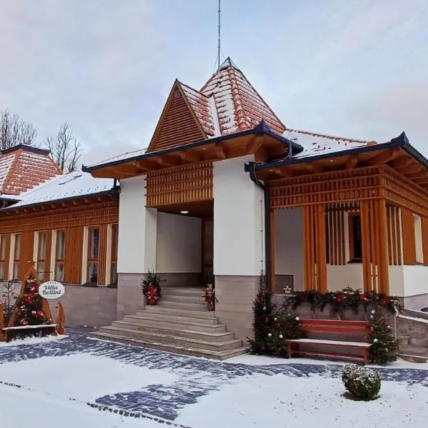 Villa Bellini Borszék,博爾塞克的飯店