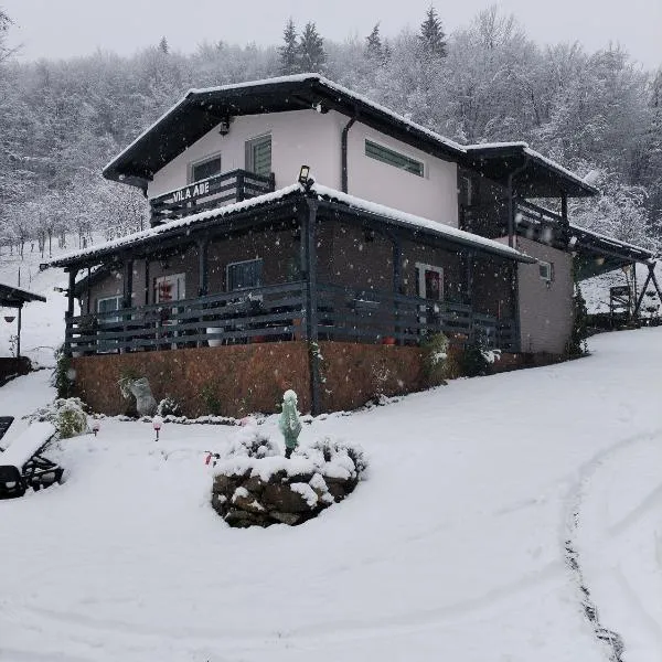 VILA Ade, hotel em Padeş