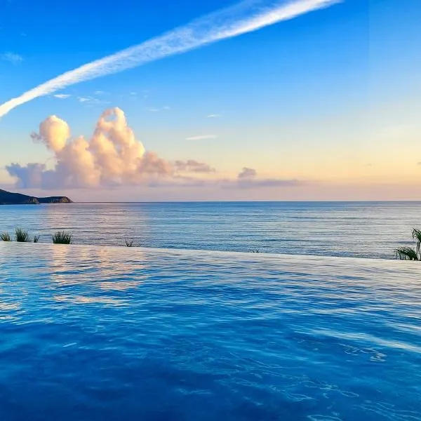 Hotel Ponta Plaza Conference & Spa, hotel i Budva