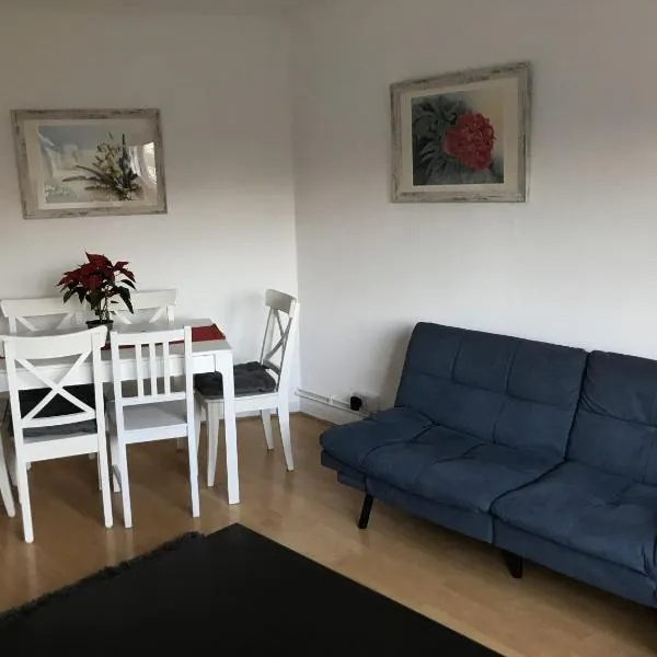 Beautiful flat in Brixton close to city center, hotell i London