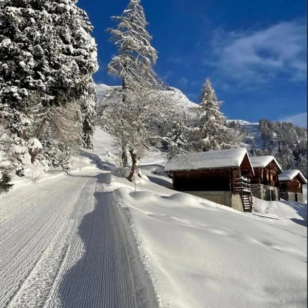 Le Mayen de Colombire, hotel in Crans-Montana