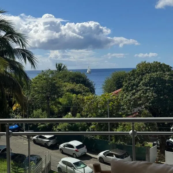 Elégant F2 de standing pieds dans l'eau, hotel en Schœlcher