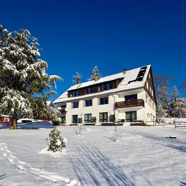 Berghotel Hohegeiß, hotel in Hohegeiß