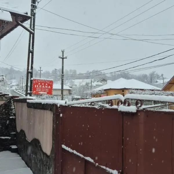 Pensiunea Ileana, hotel in Novaci
