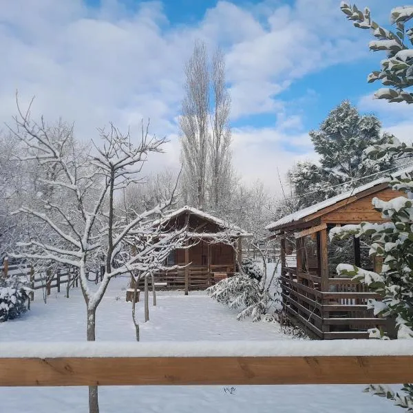 Tiny houses Genacvale，位于马尔特维利的酒店