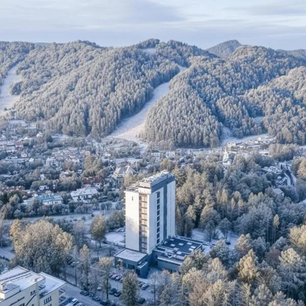 Hotel Pieniny Grand Wellness & SPA - Destigo Hotels، فندق في شتافنيتسه