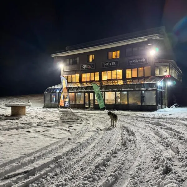 Chalet Vasilitsa, hotel a Grevena